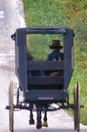 Amish Buggy