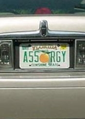 Ass Orgy License Plate