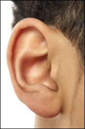 Ear