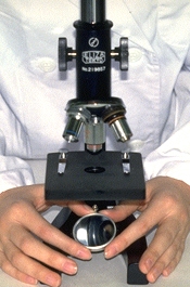 Microscope