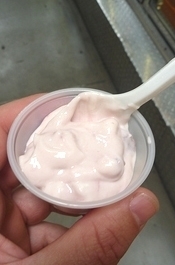 Yogurt Sample